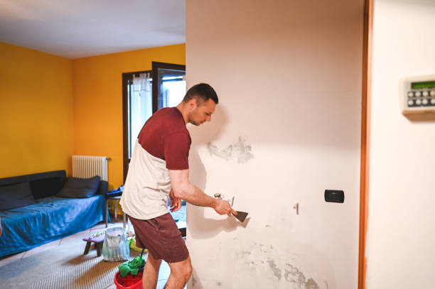 Best Residential Mold Removal  in Seymour, IN